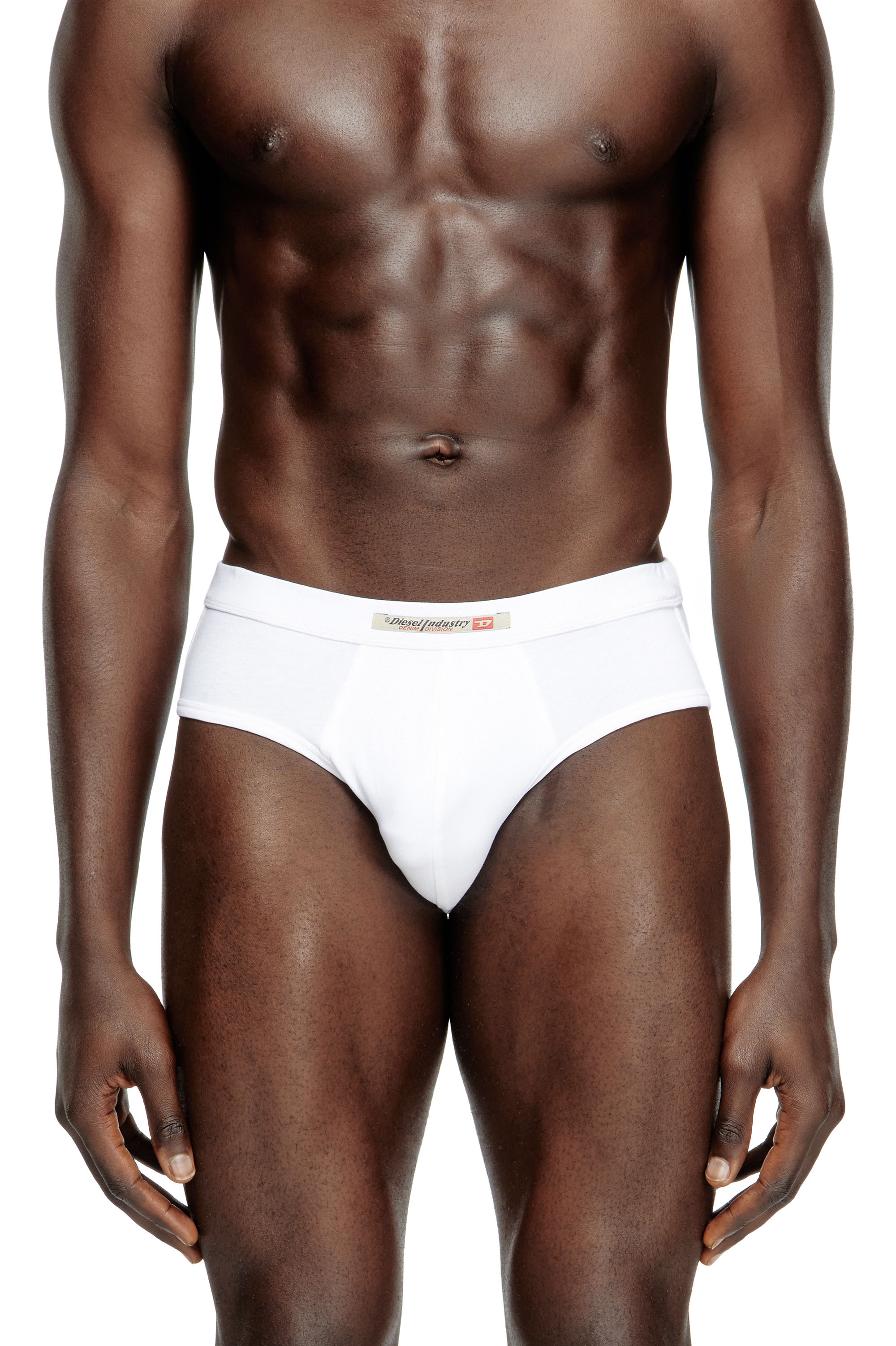 Diesel - ANDY-DNM-2PACK, Man's 2-pack briefs with Diesel Industry flag in White/Black - 2